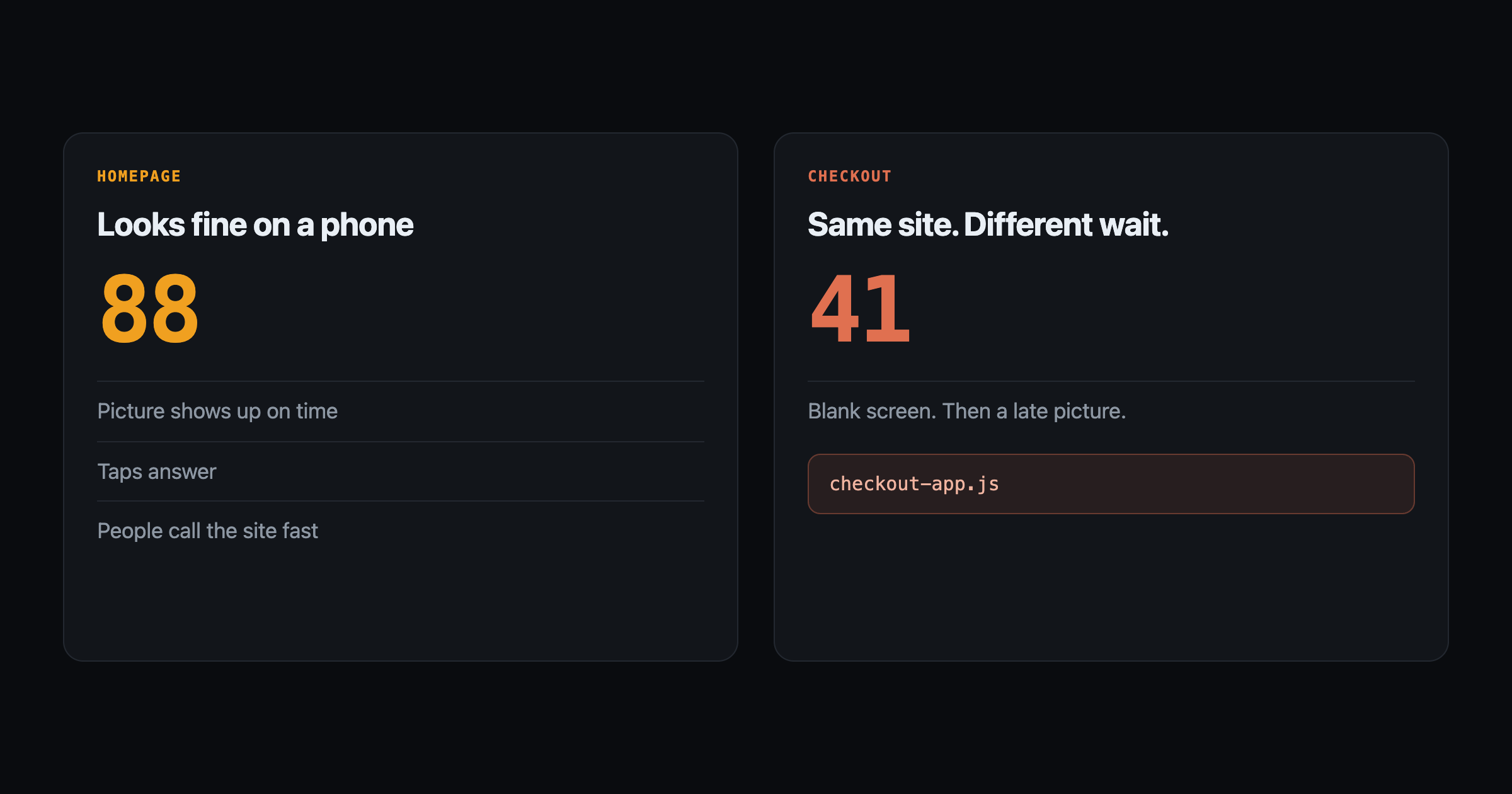 Homepage score 88 beside checkout score 41 with a named checkout script